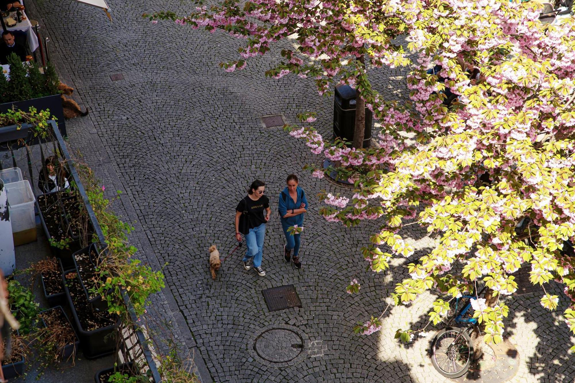 Apartmán Fitzgerald Building - The House Of Travelers Como Pokoj fotografie